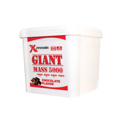 Xprotein MassGainer 5000 Gr