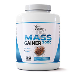 Zeus Nutrıtıon Gainfast 3000Gr 