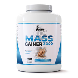 Zeus Nutrıtıon Gainfast 3000Gr 